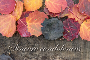 Mourning card with autumn leaves and english text: Sincere condolences