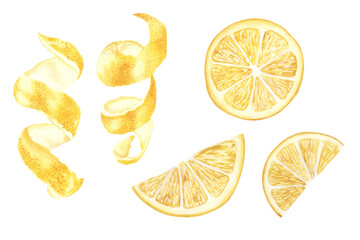 Hand drawn watercolor illustrations of yellow lemon fruits set. slices and peel - obrazy, fototapety, plakaty