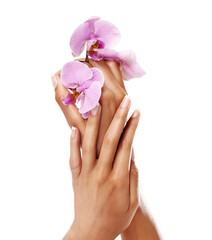 Manicure, orchid flower and nails on hands of a woman after spa or beauty salon treatment in...