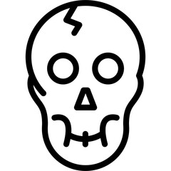 Skull Icon