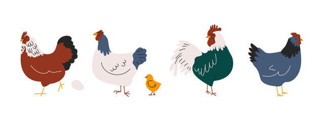 Domestic chickens. Cartoon hens, rooster and egg, cute farm poultry birds, organic eco food concept. Vector isolated set