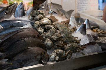 A counter with a variety of fish and seafood lying in ice at the Thai market. Fresh fish on the counter.
