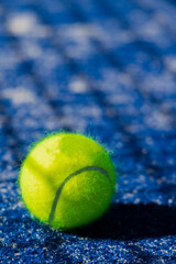 tennis ball on the court