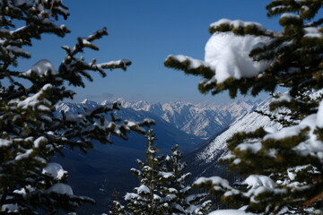 Canadian Rockies