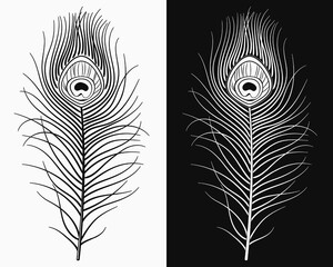 Peacock feather. Fluffy feather from peafowl tail. Black and white design element for carnival, show etc © OA_Creation