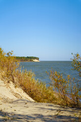 Fototapeta na wymiar Sandy beach and autumn forest on a sunny day