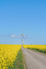 Wind turbine in a rapeseed field on a sunny summer day