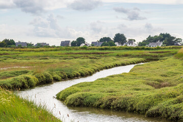 Old salt marshes, Morbihan. Bretagne, France