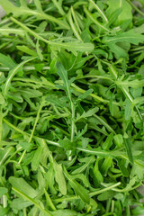 Fototapeta premium Healthy salad, leaves arugula. Food recipe background. Close up
