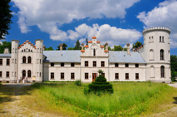 Fototapeta na wymiar Carl von Schwichow`s Palace. Margonska Wies, Greater Poland Voivodeship, Poland.