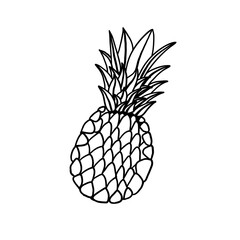 Simple pineapple. Vector illustration in outline doodle style isolated on white background.