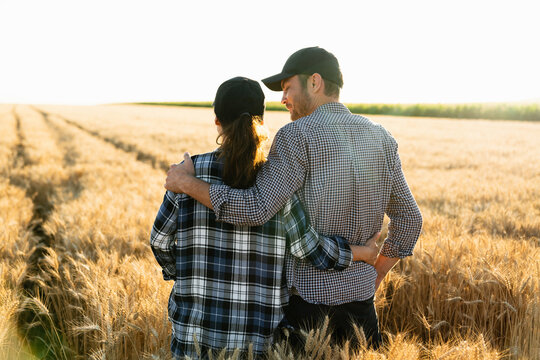 A couple of farmers in plaid shirts and caps stand embracing on agricultural field of wheat at sunset	