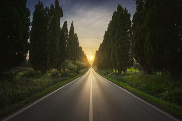 The cypress tree-lined avenue of Bolgheri and the sun in the middle. Maremma, Tuscany, Italy