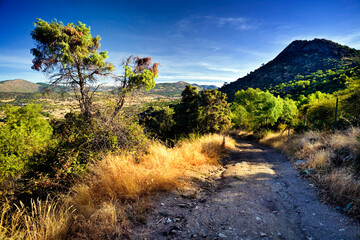 Camino del Alto de Navahonda