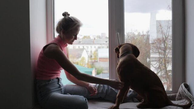 Dogue de Bordeaux puppy in the apartment with the owner. A woman sits with a Dogue de Bordeaux puppy on a windowsill.