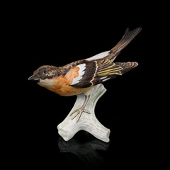 antique figurine of a titmouse on a black isolated background. sparrow toy. vintage porcelain bird figurine