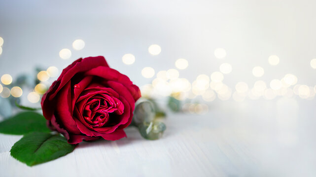 Red rose on white table with golden bokeh on background. Banner image with copy space