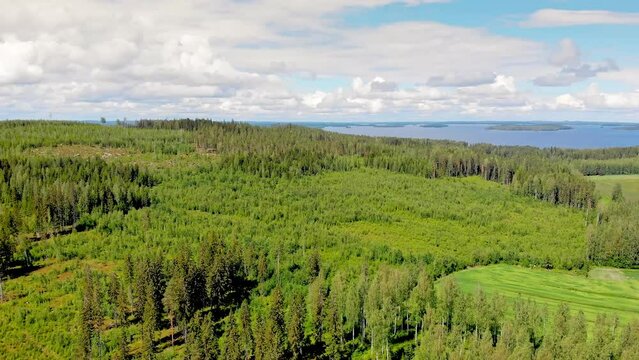 Aerial view of forest with a lake and islands in the background on a sunny summer day