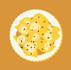 vector illustration of a ravioli dumplings