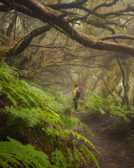 Chico disfrutando del bosque de Anaga, Tenerife