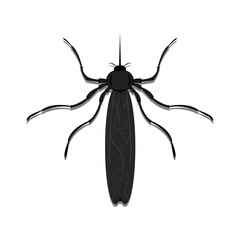 illustration vector graphic of mosquito