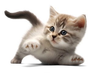 playful kitten lying down, illustration on transparent background