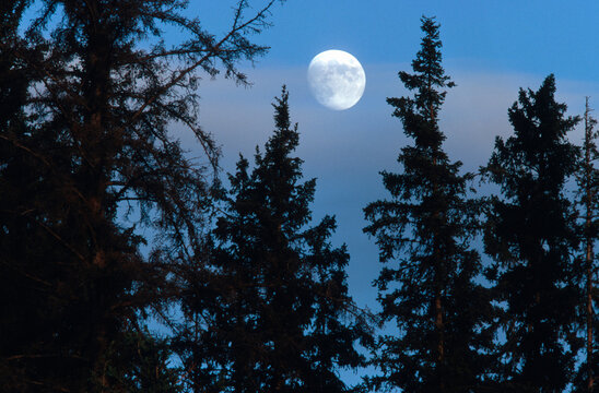 Moonrise