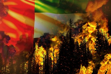 Big forest fire fight concept, natural disaster - heavy fire in the trees on United Arab Emirates flag background - 3D illustration of nature