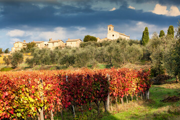 Castelnuovo Berardenga SI. Certosa di Pontignano. 