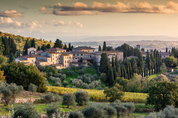  Castellina, Fonterutoli, Siena. Panorama del borgo con vigneto, cipressi e uliveto. - obrazy, fototapety, plakaty