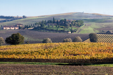 Val D' Orcia. Siena. Paesaggio con podere e vigneto di Chianti