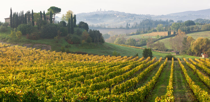 Panorama con vigneti del Chianti verso San Gimignano in autunno.