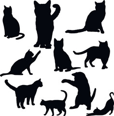 Cat silhouette set, cat icon, SVG Vector