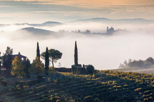 Paesaggio toscano con nebbia nelle valli e cipressi