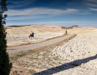 Asciano, Siena. Paesaggio delle Crete senesi con strada, cipresso e cavaliere