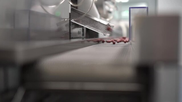 m&aacute;quina elaboraci&oacute;n de c&aacute;psulas en empresa farmac&eacute;utica.