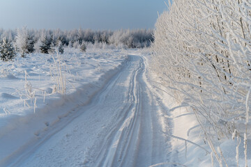 Winter landscape with trees in hoarfrost and a road in the forest.
