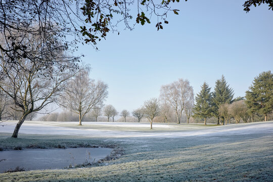 Poynton_03
