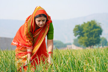 Indian rural woman working at agriculture field. - obrazy, fototapety, plakaty