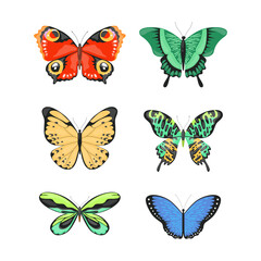 Obraz na płótnie Canvas Set of colorful beautiful butterflies winged insects cartoon vector illustration