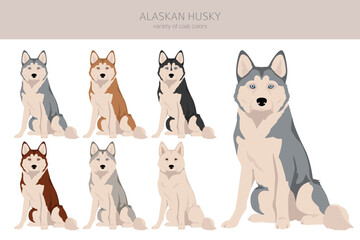 Alaskan husky clipart. Different poses, coat colors set © a7880ss