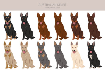 Australian Kelpie all colours clipart. Different coat colors set