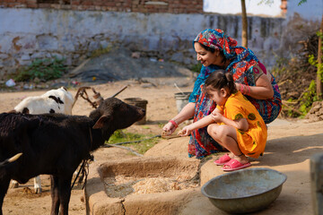 Indian rural woman with daughter feeding black buffalo.