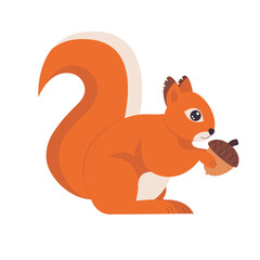 Cute little red squirrel holding acorn. Vector Illustration.