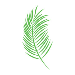 Isolated colored summer leaf sketch icon Vector