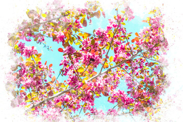 Watercolor painting of cherry blossom. Watercolor art springtime concept. Colorful flower watercolor background.