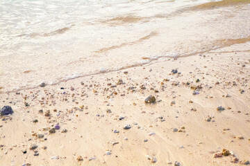 beautiful sandy beach with small rocks and soft blue ocean wave