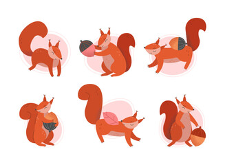 Cute funny squirrel set. Wild forest animal with fluffy tail holding acorn cartoon vector illustration