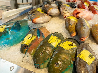 泊いゆまちで売られている魚