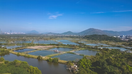 6 Jan 2023 the landscape of Fung Lok Wai Fish Pond